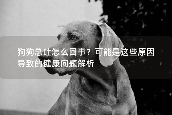 狗狗总吐怎么回事？可能是这些原因导致的健康问题解析