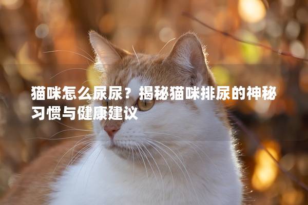 猫咪怎么尿尿？揭秘猫咪排尿的神秘习惯与健康建议