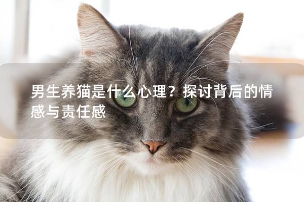 男生养猫是什么心理？探讨背后的情感与责任感