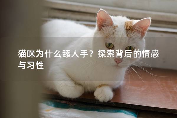 猫咪为什么舔人手？探索背后的情感与习性