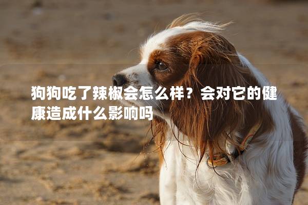 狗狗吃了辣椒会怎么样？会对它的健康造成什么影响吗