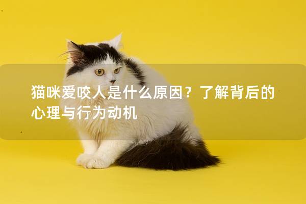 猫咪爱咬人是什么原因？了解背后的心理与行为动机