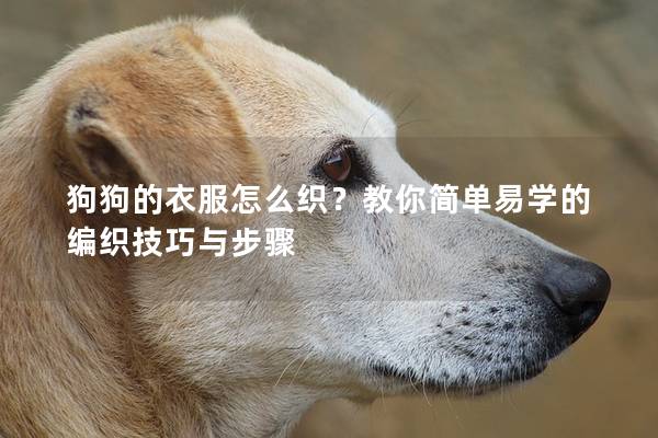 狗狗的衣服怎么织？教你简单易学的编织技巧与步骤