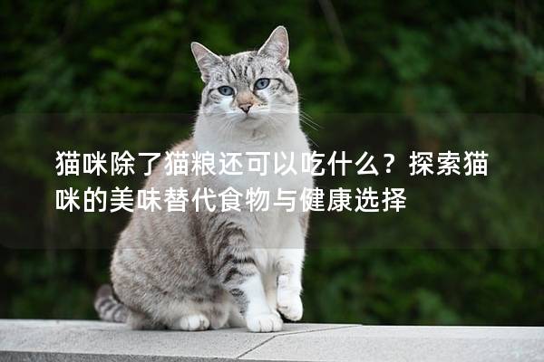 猫咪除了猫粮还可以吃什么？探索猫咪的美味替代食物与健康选择