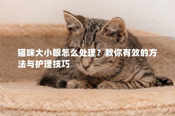 猫咪大小眼怎么处理？教你有效的方法与护理技巧