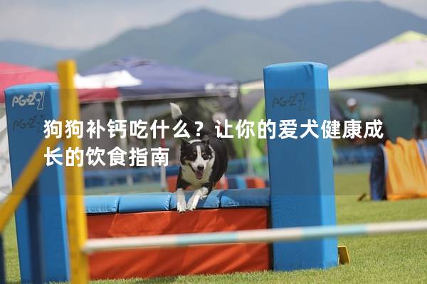 狗狗补钙吃什么？让你的爱犬健康成长的饮食指南