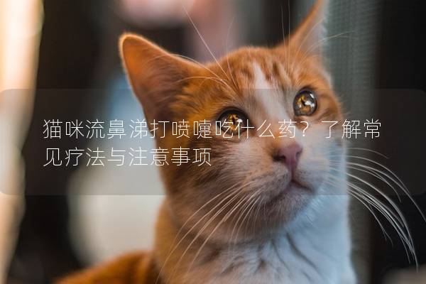 猫咪流鼻涕打喷嚏吃什么药？了解常见疗法与注意事项