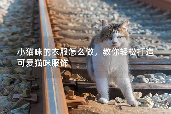 小猫咪的衣服怎么做，教你轻松打造可爱猫咪服饰