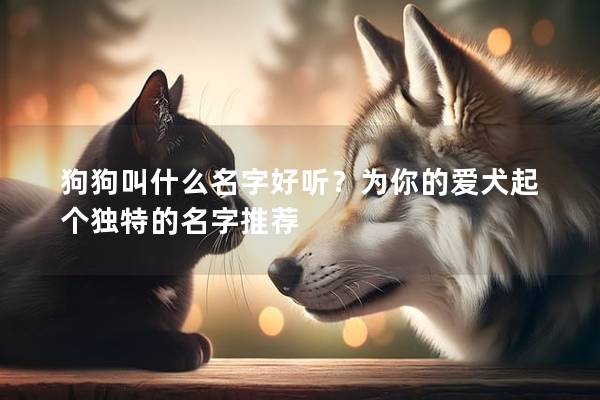 狗狗叫什么名字好听？为你的爱犬起个独特的名字推荐