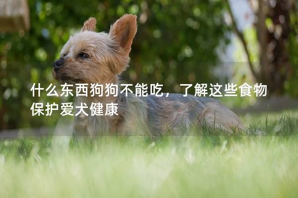 什么东西狗狗不能吃，了解这些食物保护爱犬健康