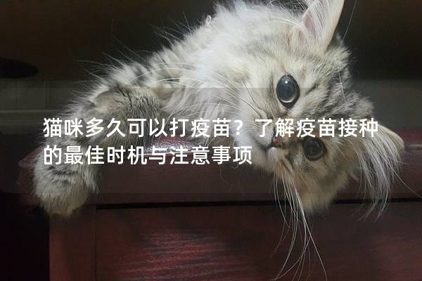 猫咪多久可以打疫苗？了解疫苗接种的最佳时机与注意事项