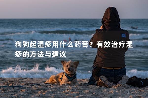 狗狗起湿疹用什么药膏？有效治疗湿疹的方法与建议