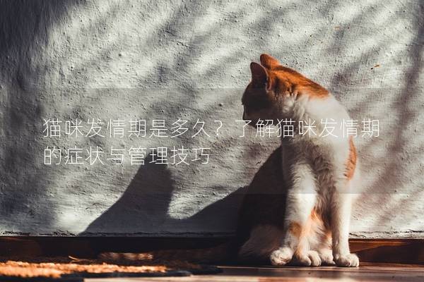 猫咪发情期是多久？了解猫咪发情期的症状与管理技巧