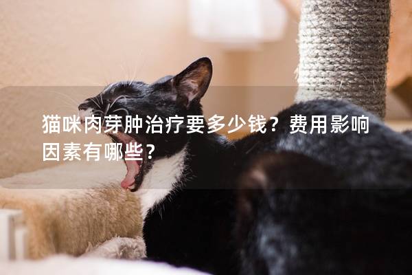 猫咪肉芽肿治疗要多少钱？费用影响因素有哪些？