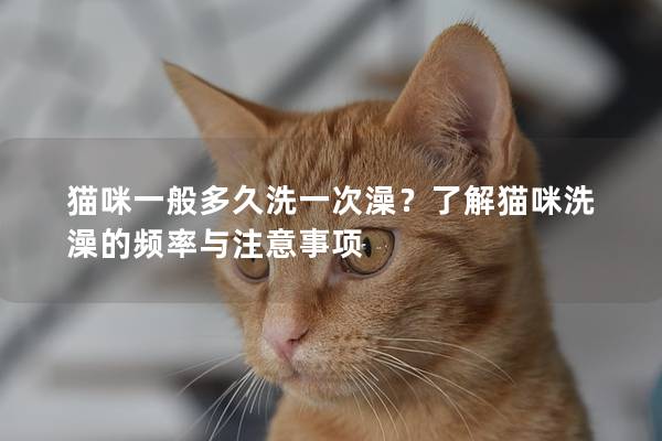 猫咪一般多久洗一次澡？了解猫咪洗澡的频率与注意事项