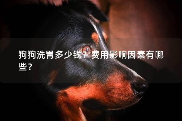 狗狗洗胃多少钱？费用影响因素有哪些？