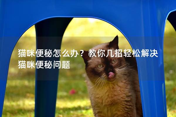 猫咪便秘怎么办？教你几招轻松解决猫咪便秘问题