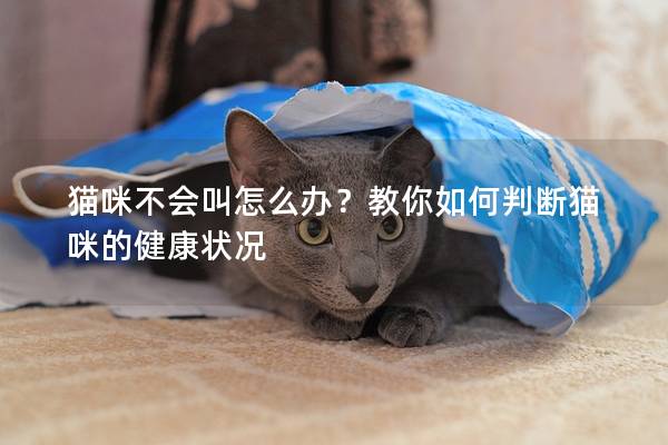 猫咪不会叫怎么办？教你如何判断猫咪的健康状况