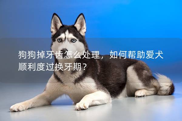 狗狗掉牙齿怎么处理，如何帮助爱犬顺利度过换牙期？