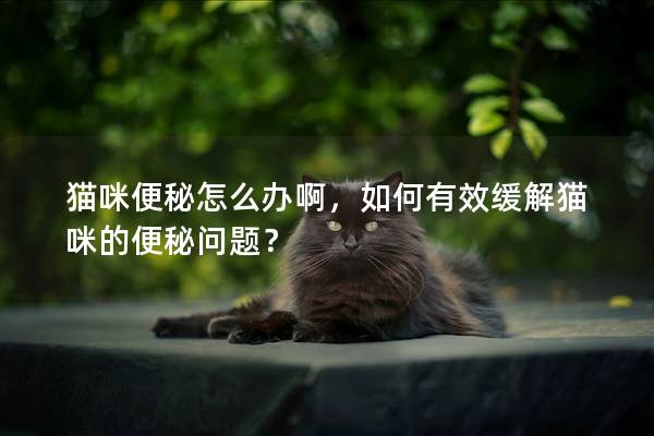 猫咪便秘怎么办啊，如何有效缓解猫咪的便秘问题？