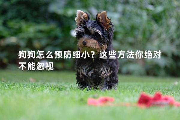 狗狗怎么预防细小？这些方法你绝对不能忽视