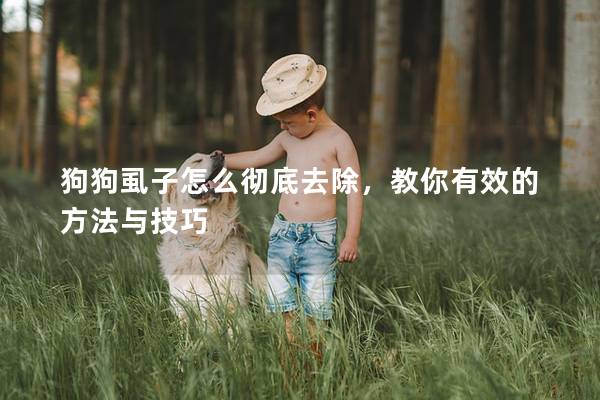 狗狗虱子怎么彻底去除，教你有效的方法与技巧