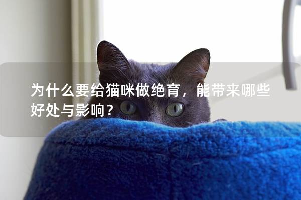 为什么要给猫咪做绝育，能带来哪些好处与影响？