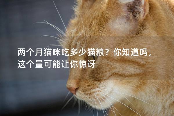 两个月猫咪吃多少猫粮？你知道吗，这个量可能让你惊讶