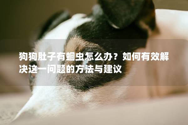 狗狗肚子有蛔虫怎么办？如何有效解决这一问题的方法与建议