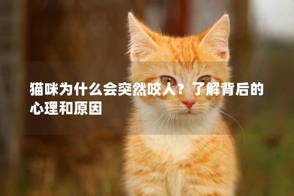 猫咪为什么会突然咬人？了解背后的心理和原因