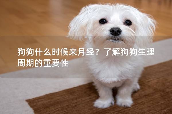 狗狗什么时候来月经？了解狗狗生理周期的重要性