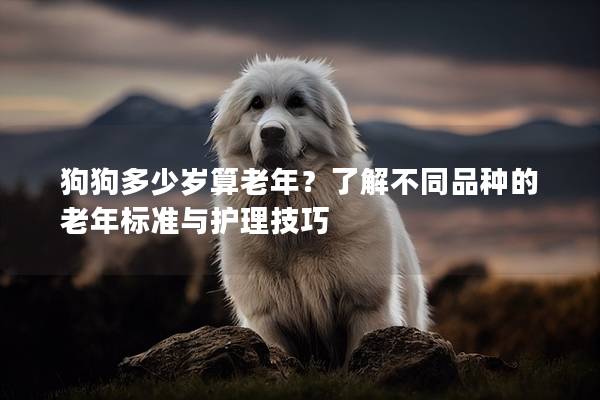 狗狗多少岁算老年？了解不同品种的老年标准与护理技巧