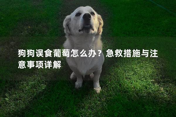 狗狗误食葡萄怎么办？急救措施与注意事项详解