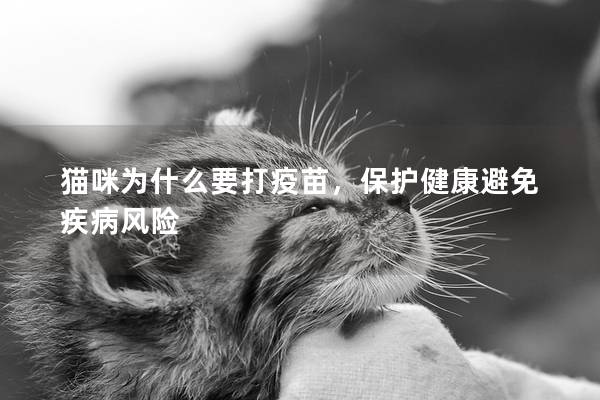 猫咪为什么要打疫苗，保护健康避免疾病风险