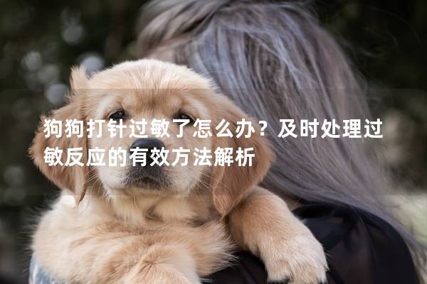 狗狗打针过敏了怎么办？及时处理过敏反应的有效方法解析