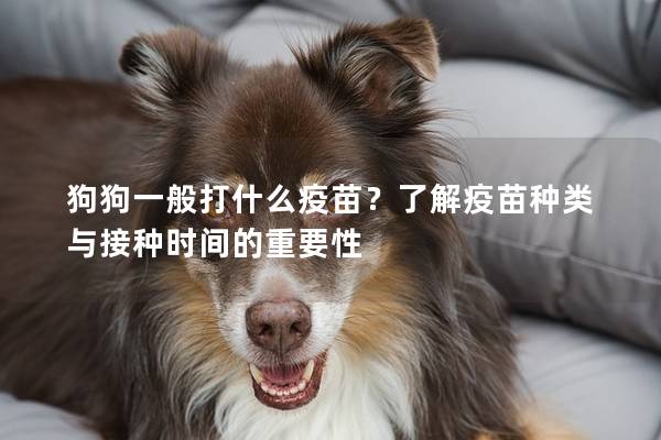 狗狗一般打什么疫苗？了解疫苗种类与接种时间的重要性