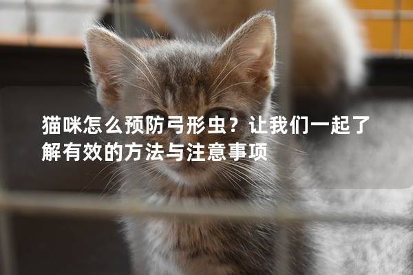 猫咪怎么预防弓形虫？让我们一起了解有效的方法与注意事项