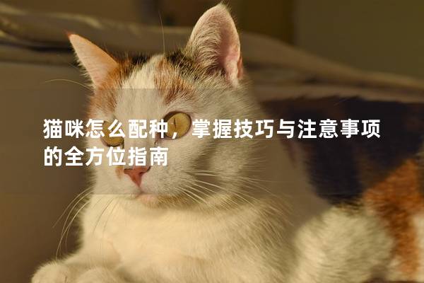 猫咪怎么配种，掌握技巧与注意事项的全方位指南