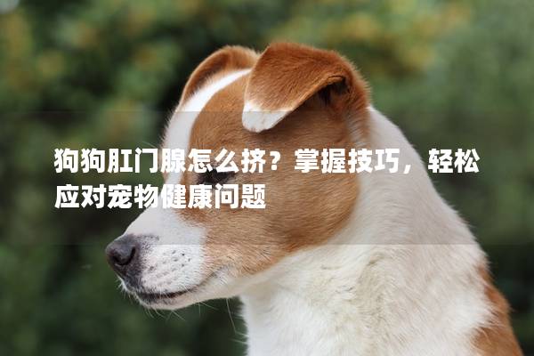 狗狗肛门腺怎么挤？掌握技巧，轻松应对宠物健康问题