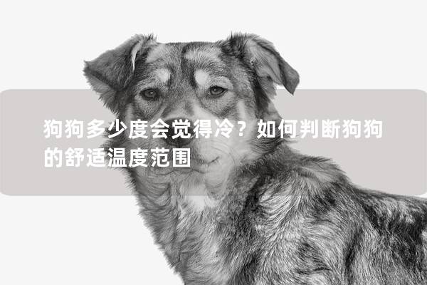 狗狗多少度会觉得冷？如何判断狗狗的舒适温度范围