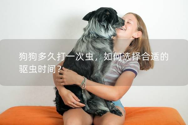 狗狗多久打一次虫，如何选择合适的驱虫时间？