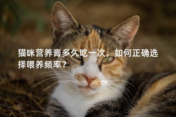 猫咪营养膏多久吃一次，如何正确选择喂养频率？