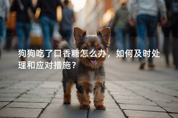 狗狗吃了口香糖怎么办，如何及时处理和应对措施？