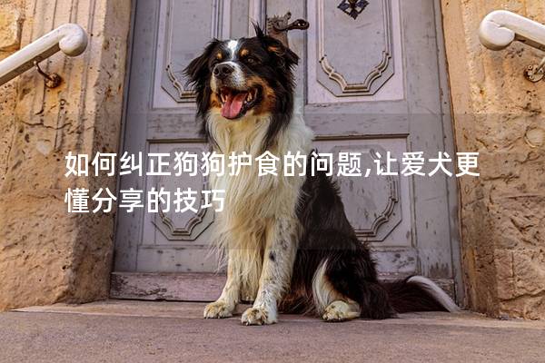 如何纠正狗狗护食的问题,让爱犬更懂分享的技巧