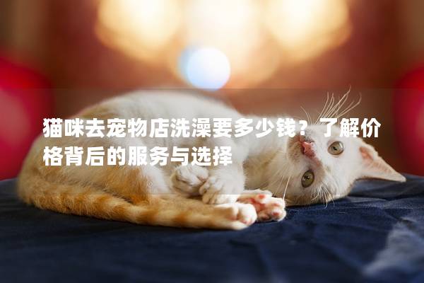 猫咪去宠物店洗澡要多少钱？了解价格背后的服务与选择