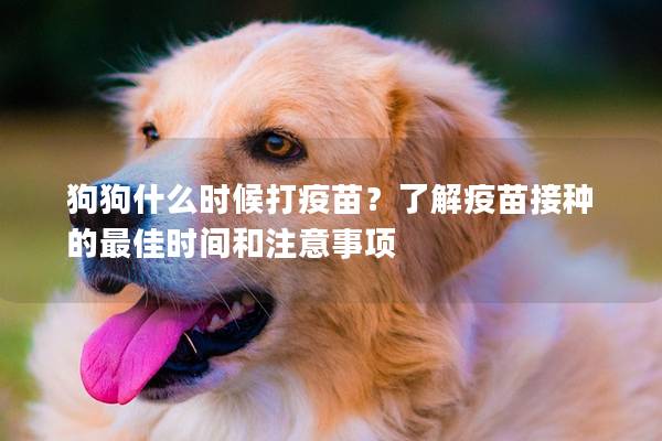 狗狗什么时候打疫苗？了解疫苗接种的最佳时间和注意事项