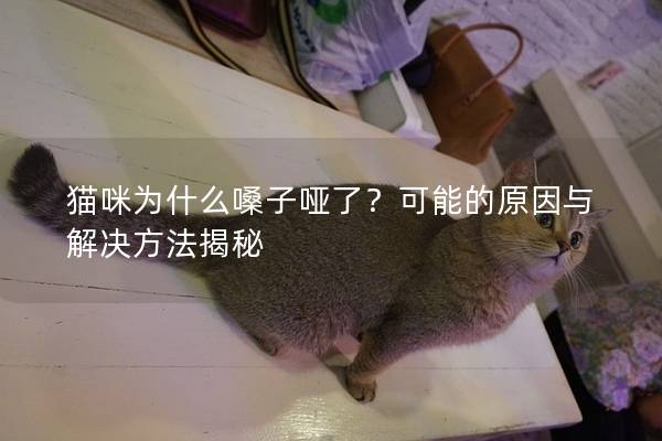 猫咪为什么嗓子哑了？可能的原因与解决方法揭秘