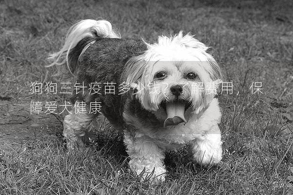 狗狗三针疫苗多少钱？了解费用，保障爱犬健康