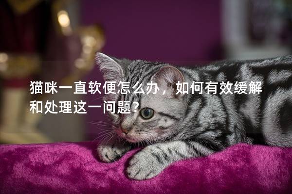 猫咪一直软便怎么办，如何有效缓解和处理这一问题？