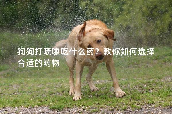 狗狗打喷嚏吃什么药？教你如何选择合适的药物